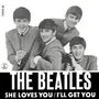 She Loves You/I'll Get You [Single]