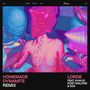 Homemade Dynamite Remix [Single]