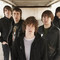 The Pigeon Detectives