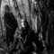 Carach Angren