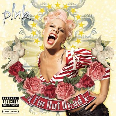 Paroles et traduction Pink : Nobody Knows - paroles de chanson