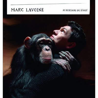 Paroles De Marc Lavoine Je Descends Du Singe Paroles De Chanson