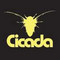 Cicada