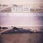 The Buried Sessions Of Skylar Grey